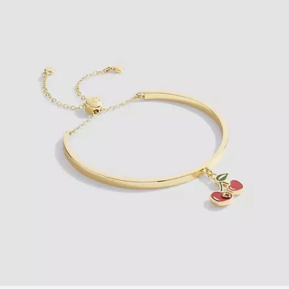 COACH slider cherry bangle bracelet New - Picture 14 of 14